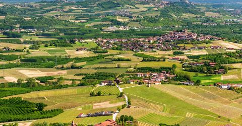 Langhe